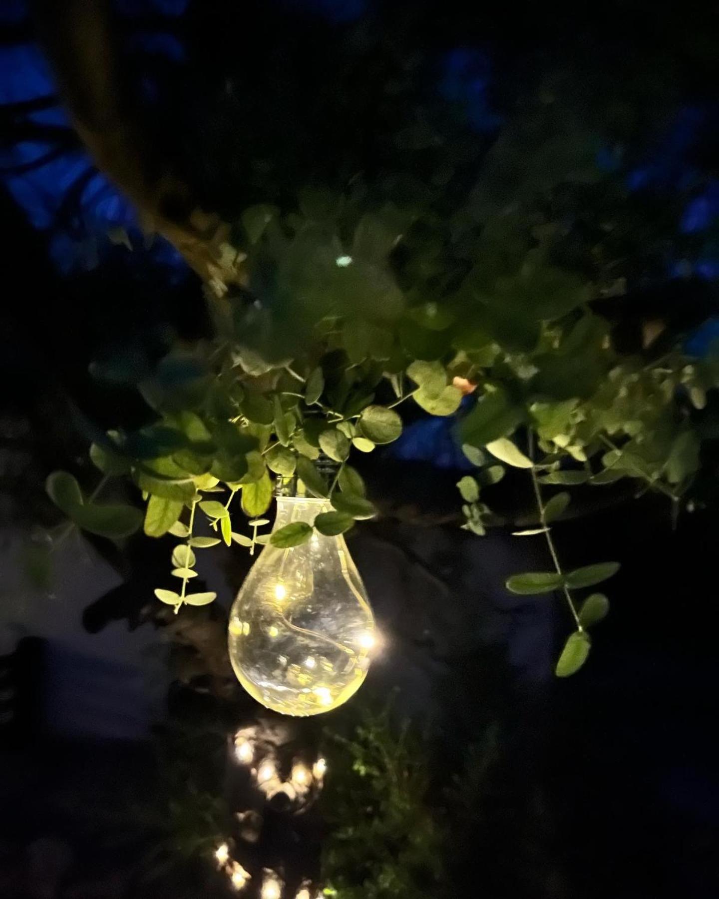 Gite La Borie Fons  Exteriör bild